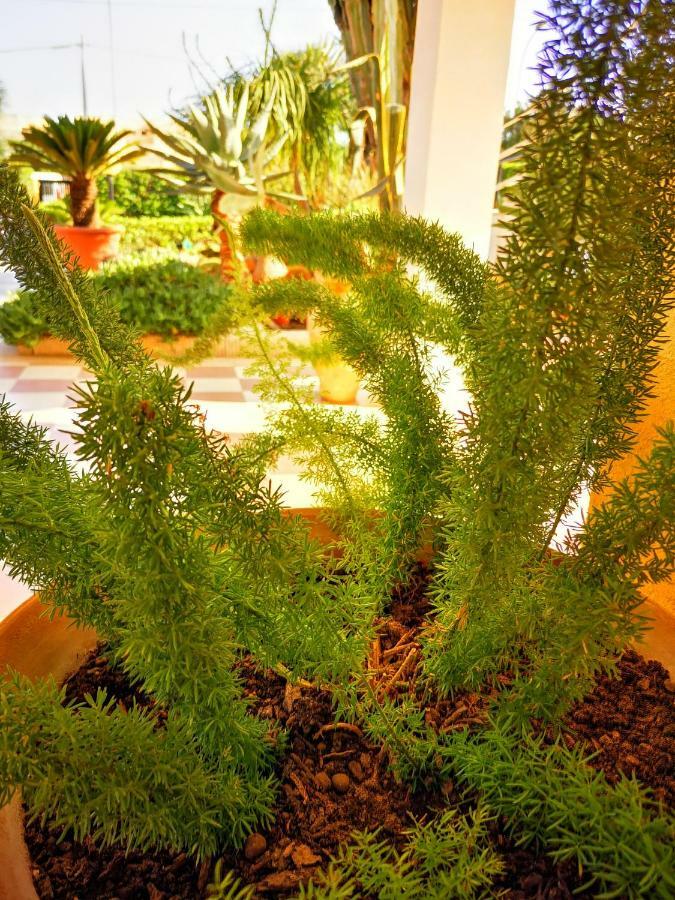 Villa Felice Marzamemi Dış mekan fotoğraf